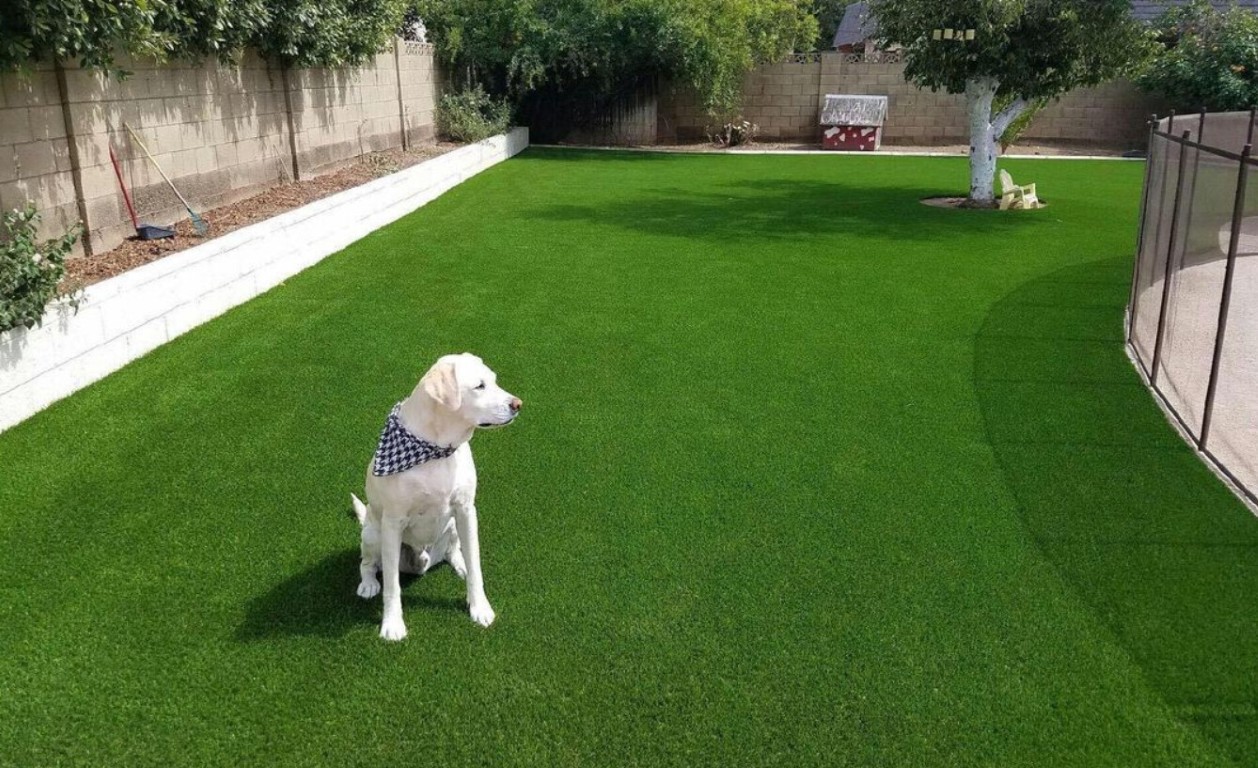 Pet Turf / Dog Turf Systems installation by artificial grass contractor in New Haven, CT